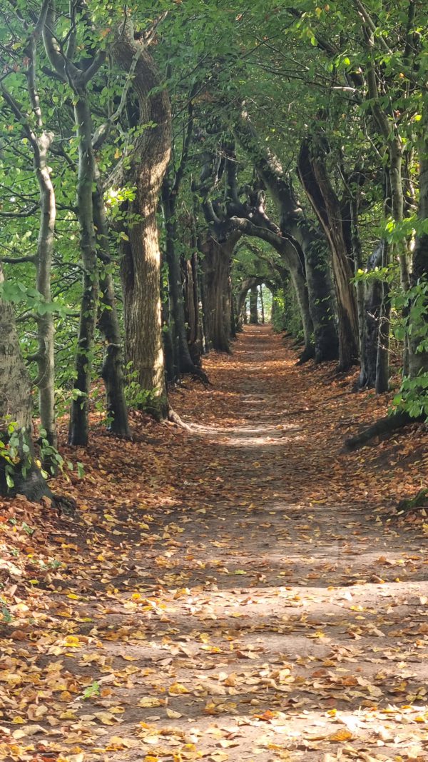 Wandelcoaching "Gezond(er) worden en afvallen". Groep 2 op dinsdagavond